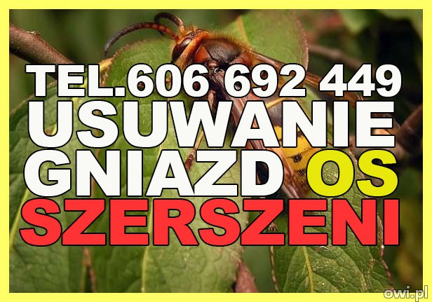 Usuwanie gniazd os, szerszeni, likwidacja - 7 dni w tygodniu Opolskie, Śląskie