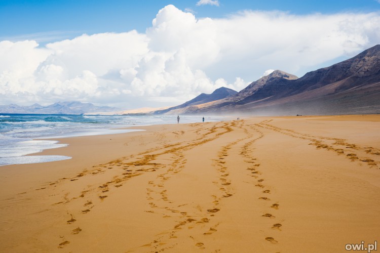 Odpocznij na najpiękniejszych plażach Wysp Kanaryjskich- Fuerteventura