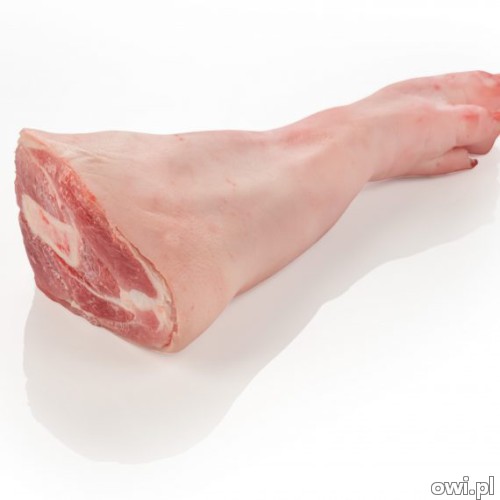 FROZEN PORK STOMACH, FROZEN PORK TAIL , FROZEN PORK HEAD AND OTHER PARTS AVAILABLE FOR SALE