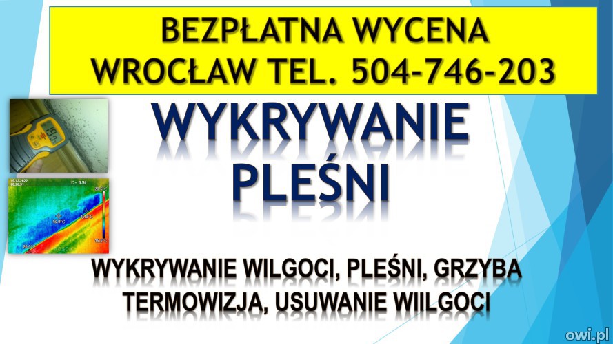 Wykrycie grzyba w mieszkaniu, tel. 504-746-203, Wrocław, lokalizacja pleśni i wilgoci.   Jak pozbyć się grzyba w mieszkaniu?