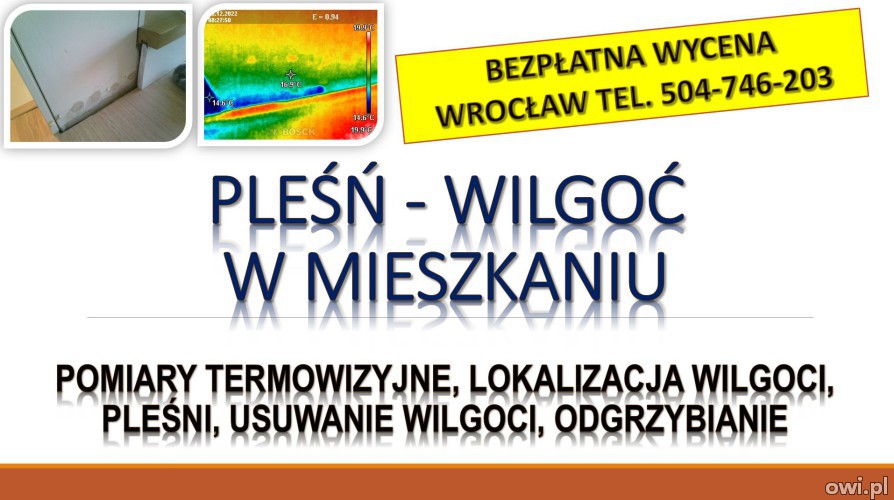 Wykrywanie i przyczyny wilgoci, Wrocław, tel. 504-746-203, cena. Grzyb na ścianie, usuwanie.