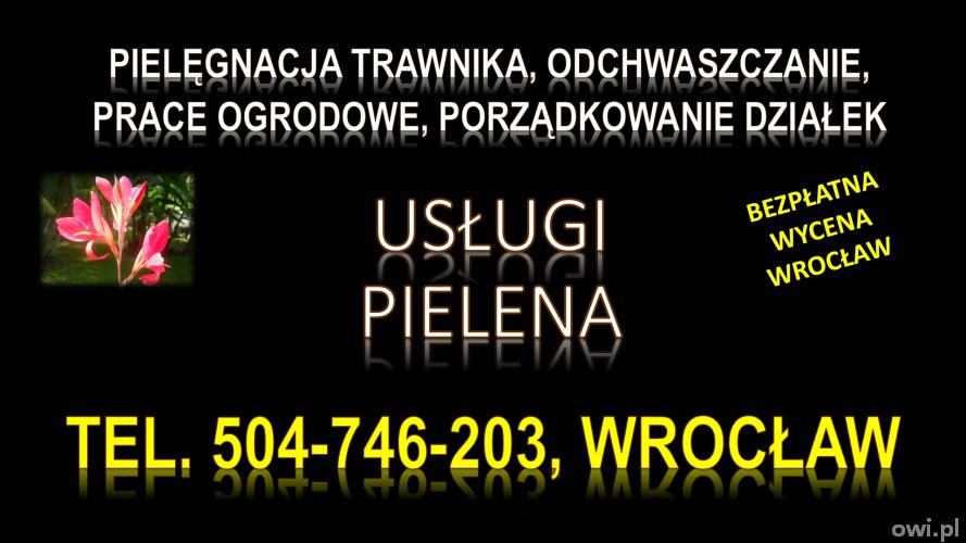 Pielenie działki, cena, tel. 504-746-203. Wrocław. Odchwaszczenie trawnika.